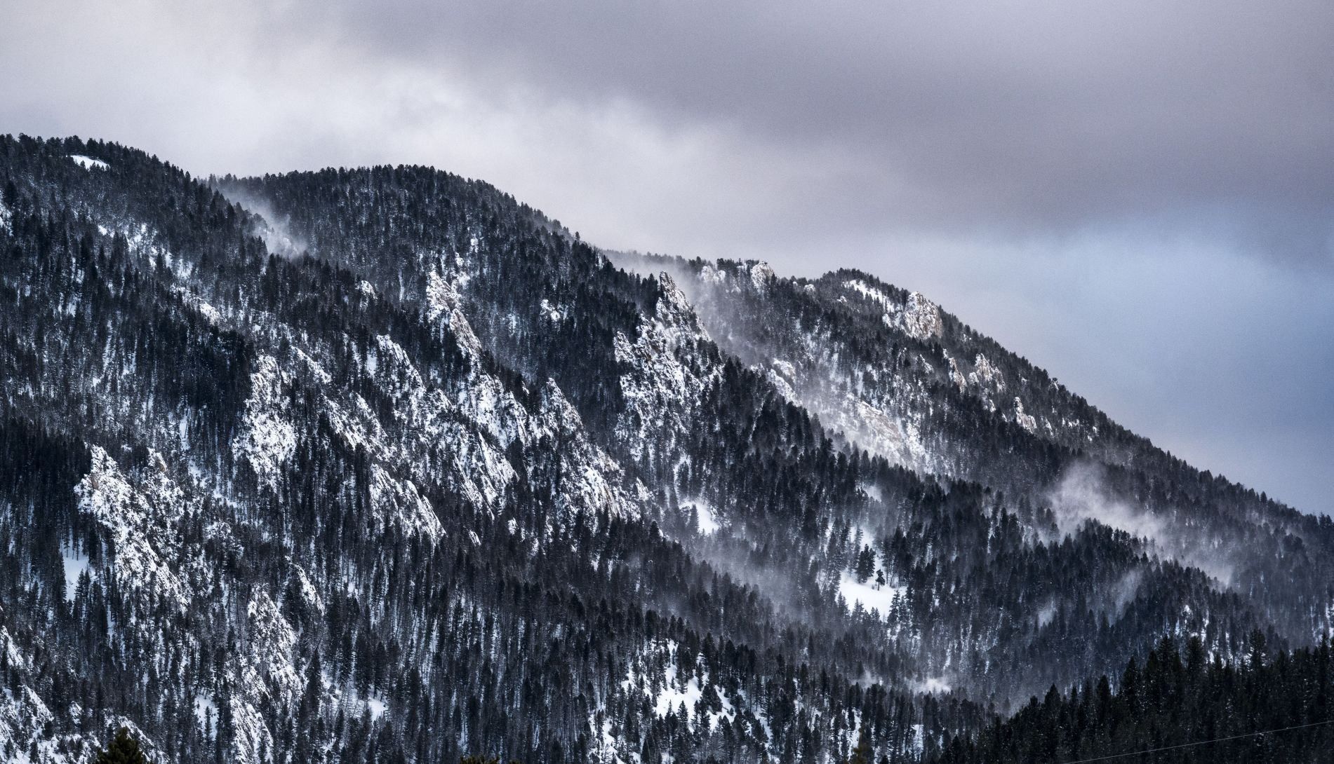 Into the white room